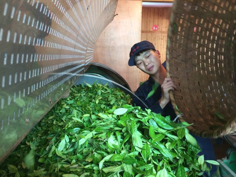 Inside our family's Wuyishan workshop